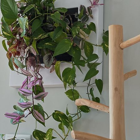 קסקאיס Luna House & Cowork מראה חיצוני תמונה