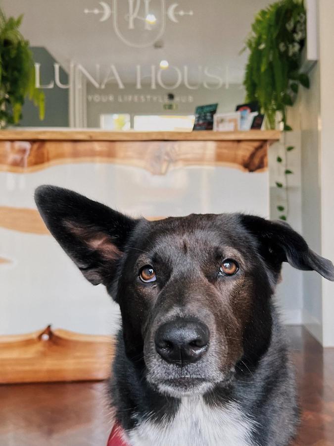 קסקאיס Luna House & Cowork מראה חיצוני תמונה